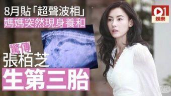 娱乐圈八卦爆料张柏芝是真的吗,张柏芝八卦爆料真相揭晓
