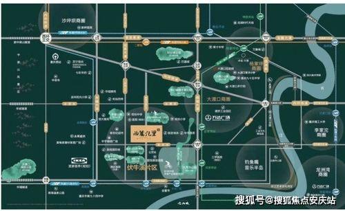 大渡口最新爆料信息电话,揭秘神秘事件电话背后的真相