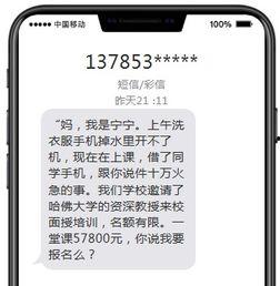 诈骗最新爆料短信图片大全,警惕这些新型诈骗手段！