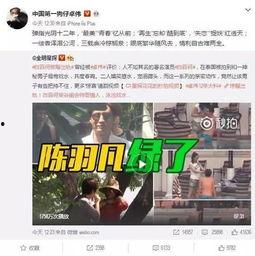 和谐集团爆料事件视频播放,揭秘事件背后真相