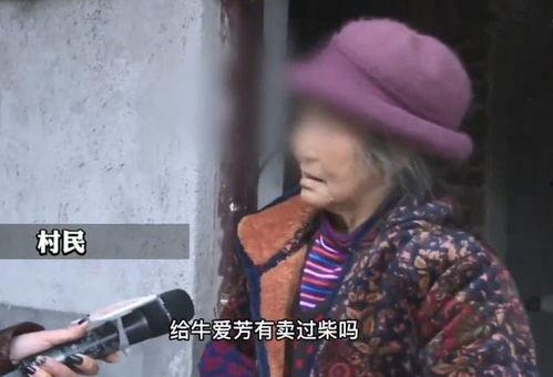 网友牛小姐爆料视频,揭秘事件背后惊人真相