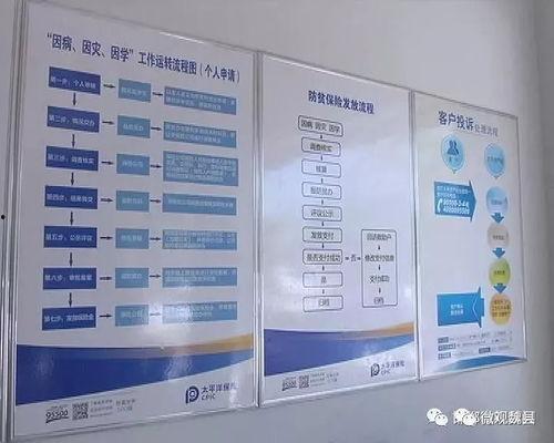 邯郸头条最新爆料台,揭秘重大事件背后真相！