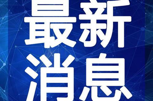 淄博热点爆料事件视频最新,揭秘背后真相，引发社会关注