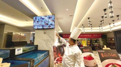 兰州饭店爆料视频大全集,揭秘幕后真相与精彩瞬间
