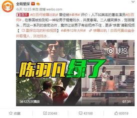 刘力扬爆料天涯论坛视频,背后真相令人震惊