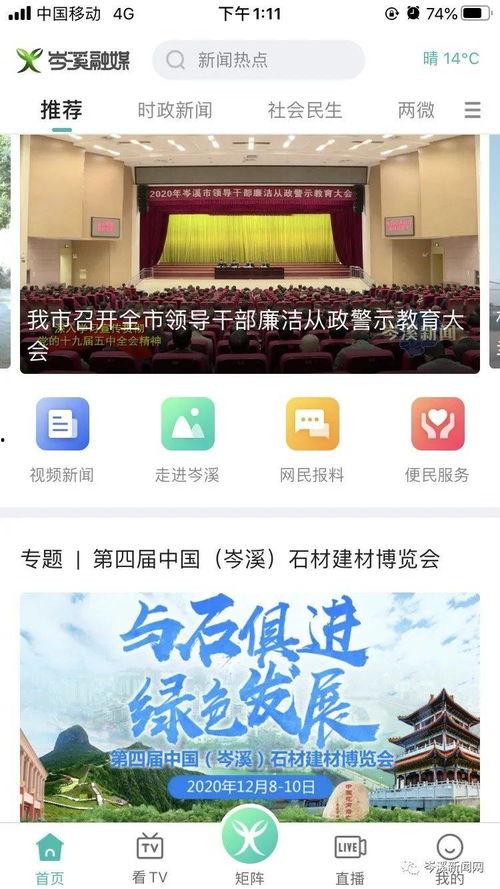 最新模块爆料视频,前沿科技与未来趋势前瞻