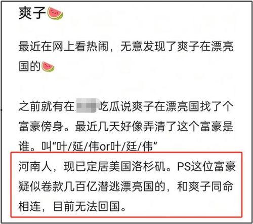网红被爆料新瓜视频大全,独家爆料，精彩瞬间尽收眼底