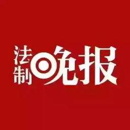 新闻爆料找谁权威一下,最新新闻爆料背后的真相与影响