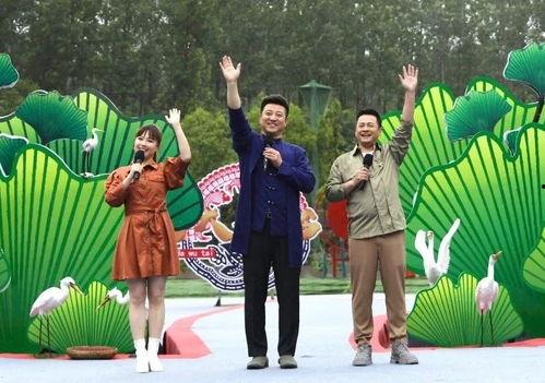 枫丹角色爆料视频大全最新,揭秘神秘角色背后的故事与魅力