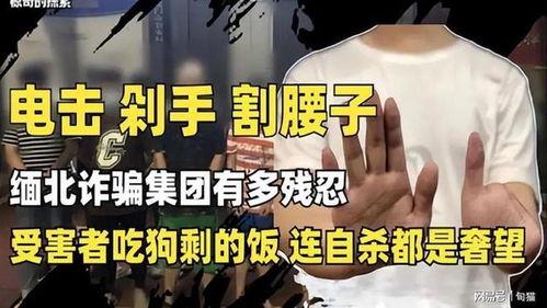 爆料缅北高清视频下载,震撼爆料背后的真相