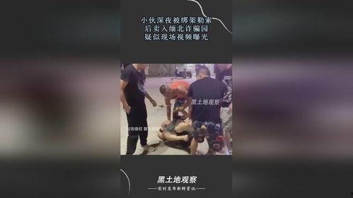 爆料缅北高清视频下载,震撼爆料背后的真相