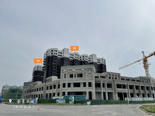 雷电5最新爆料视频网页,揭秘游戏画面与玩法革新