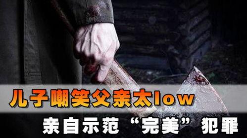 父亲劫在线观看,揭秘亲情纠葛的悬疑之旅