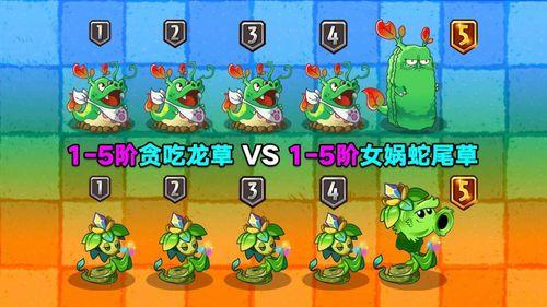 贪吃龙草爆料视频,视频爆料揭示神秘植物背后的秘密