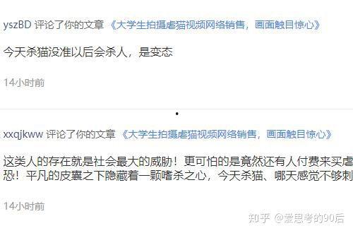 独家爆料模板免费观看视频,揭秘神秘视频背后的独家爆料，免费观看带你一探究竟！