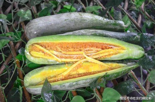 大城网红吃瓜,揭秘网络红人背后的故事