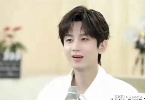 成毅娱乐圈爆料,揭秘明星幕后故事