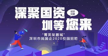 深圳国企爆料最新消息,揭秘重大改革动向与影响
