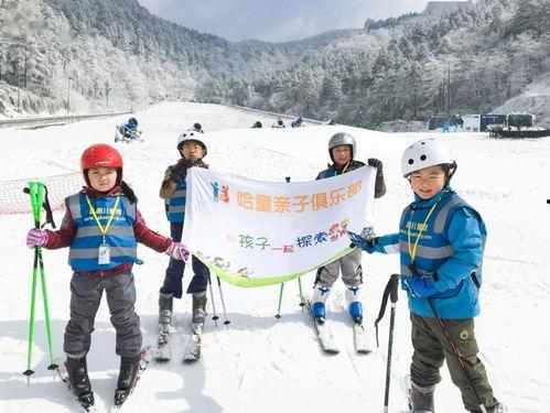爆料滑雪视频大全集,精彩瞬间尽收眼底