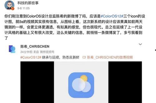 关于二智爆料的视频,视频爆料背后的惊人真相