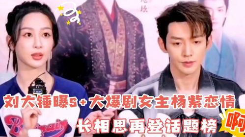 刘大锤爆料女主是谁啊视频,女主角身份揭秘，真相令人震惊！