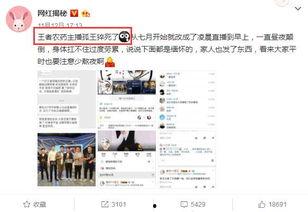 最新荣耀爆料新闻直播视频,直播视频揭秘全新旗舰手机及惊喜功能