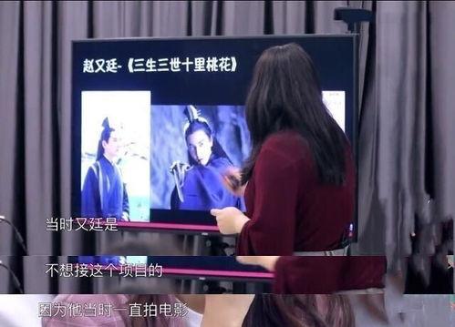 电视剧 短剧 爆料视频,短剧爆料视频背后的精彩瞬间