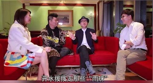 独家爆料配音视频大全集,配音视频大全集背后的精彩故事