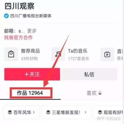 中央新闻怎么投稿爆料,如何有效发声