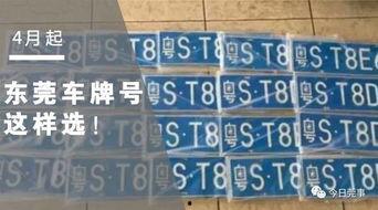 今日莞事网上爆料,最新热点事件追踪