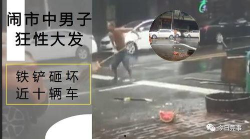 今日莞事网上爆料,最新热点事件追踪