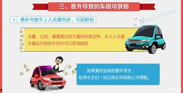 哈佛最新爆料新闻报道内容,揭秘学术界的惊人内幕