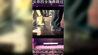 娱乐八怪爆料视频合集