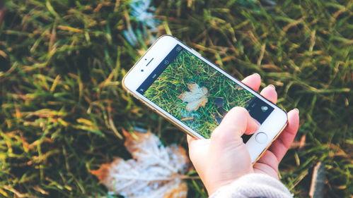 手机看片国产福利永久,手机看片福利无限，带你领略视听盛宴