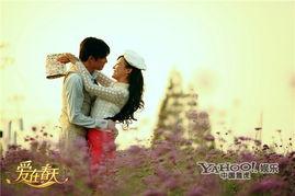 爱在春天在线观看,浪漫邂逅，共赴春日恋歌