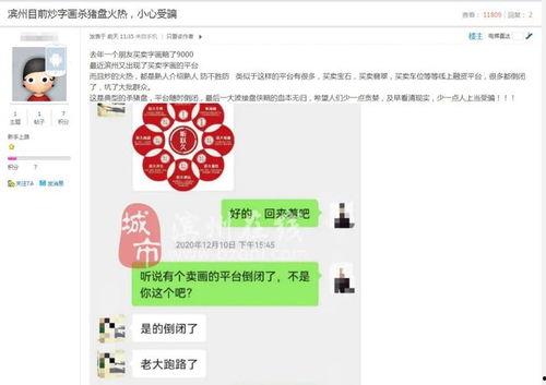 滨州爆料真实事件视频,惊心动魄的真实事件视频曝光