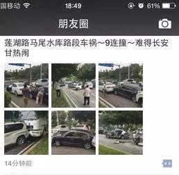 东莞阳光网最新爆料,揭秘事件背后惊人真相