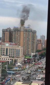 东莞阳光网最新爆料,揭秘事件背后惊人真相