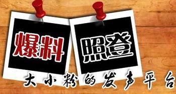 禁区最新爆料新闻,禁区最新爆料，内幕细节曝光