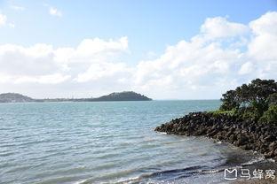 南岛在线观看,探索神秘南岛，尽享视觉盛宴