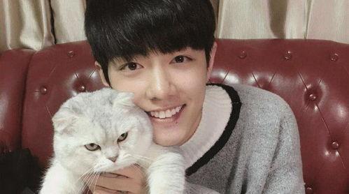 王凯最新爆料肖战,肖战背后的不为人知故事