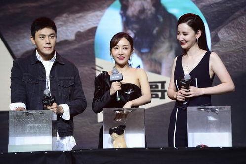 娱乐圈吃瓜爆料天选之人,揭秘天选之人的璀璨人生